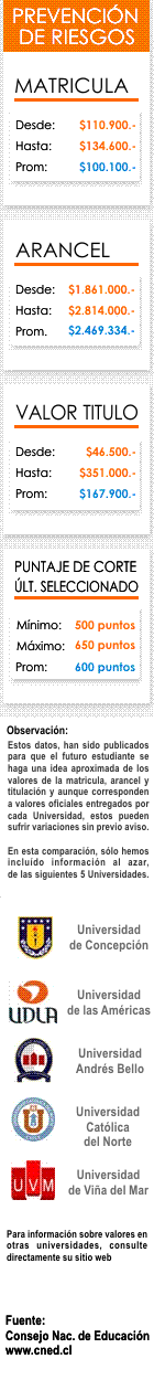 Ficha Ingenier&iacute;a en Ejecuci&oacute;n